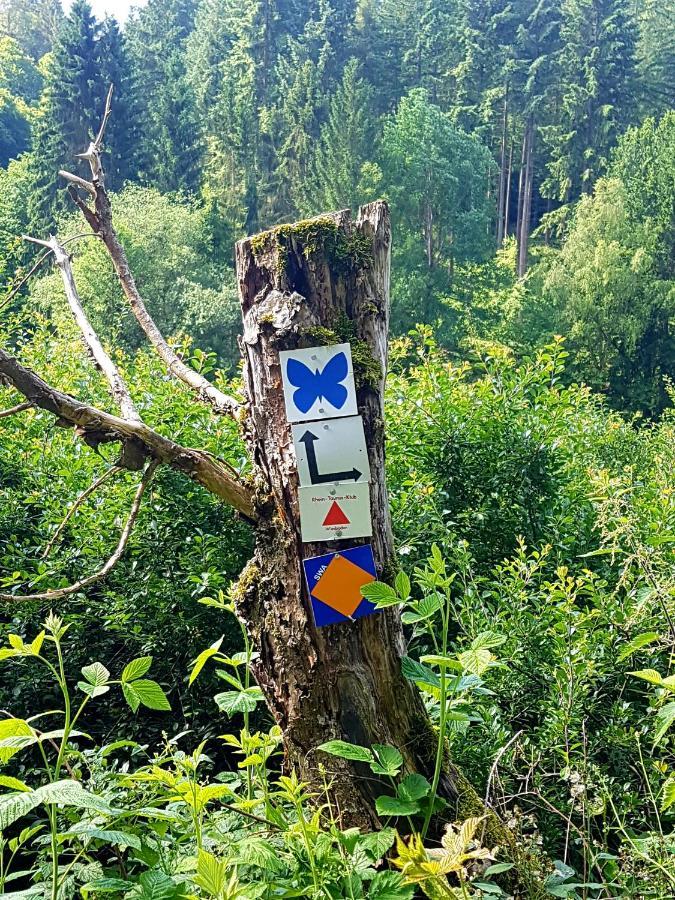 Ferienwohnung Jansen "Eins" Bad Schwalbach Esterno foto