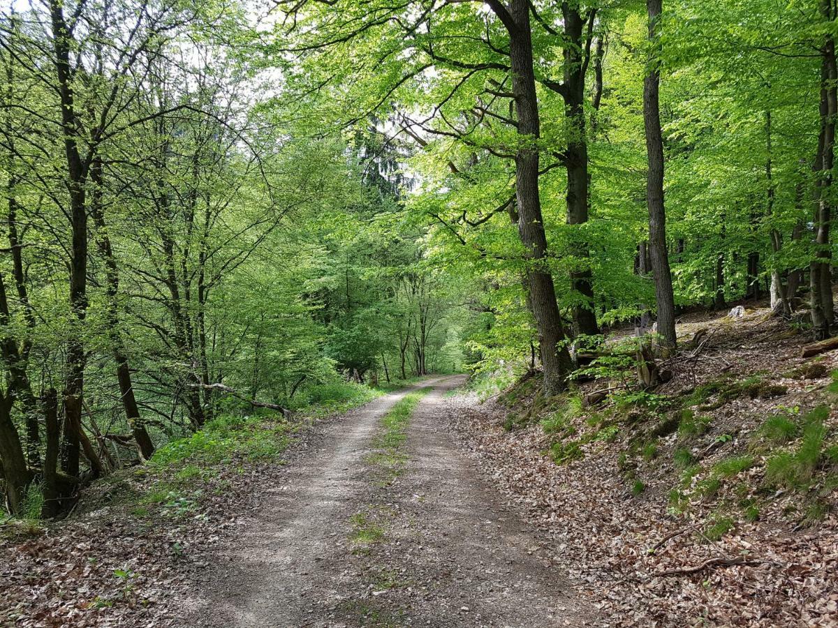 Ferienwohnung Jansen "Eins" Bad Schwalbach Esterno foto